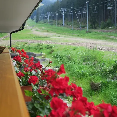 Biela Put - Veverica *