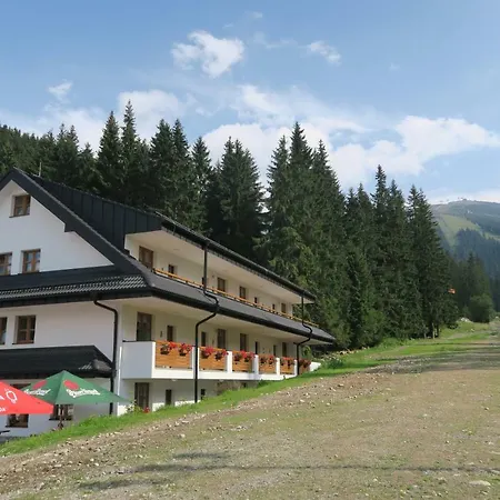 Biela Put - Veverica